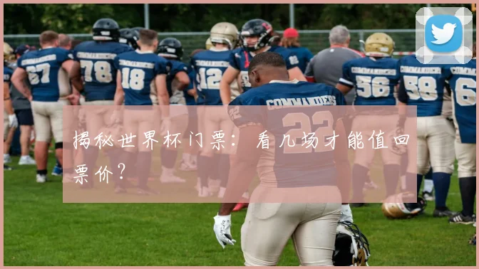 揭秘世界杯门票：看几场才能值回票价？