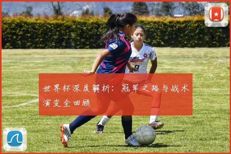 世界杯深度解析：冠军之路与战术演变全回顾