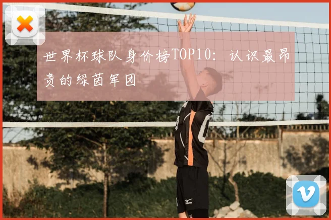 世界杯球队身价榜TOP10：认识最昂贵的绿茵军团
