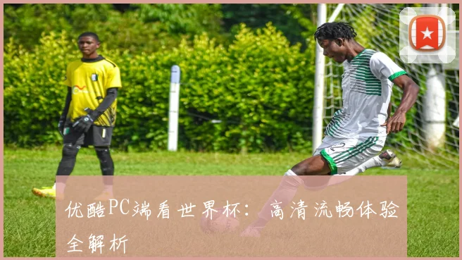 优酷PC端看世界杯：高清流畅体验全解析