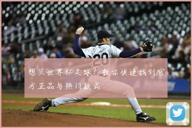 想买世界杯足球？教你快速找到官方正品与热门款式