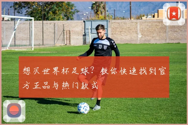 想买世界杯足球?教你快速找到官方正品与热门款式