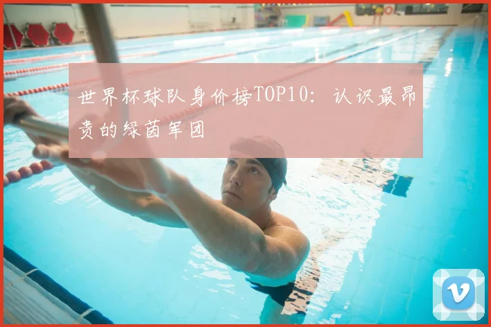 世界杯球队身价榜TOP10：认识最昂贵的绿茵军团