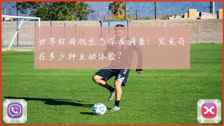 世界杯游戏生态深度调查：究竟存在多少种互动体验？