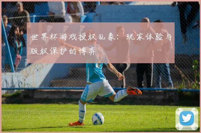 世界杯游戏授权乱象：玩家体验与版权保护的博弈