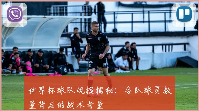 世界杯球队规模揭秘：各队球员数量背后的战术考量