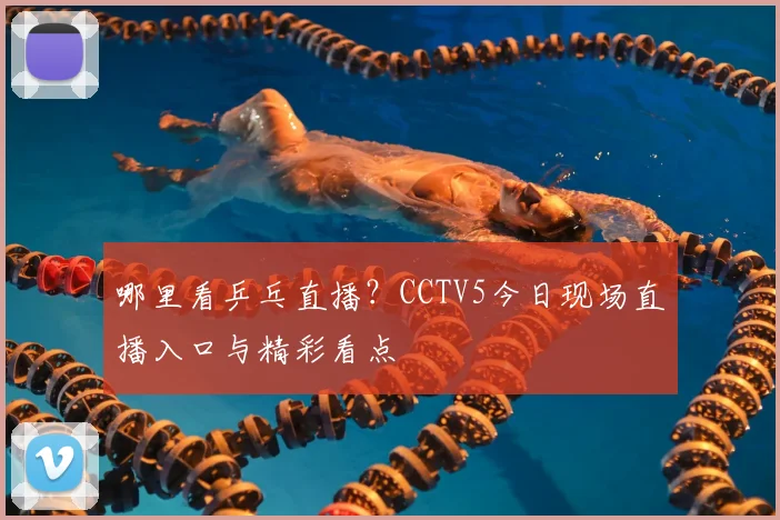 哪里看乒乓直播?CCTV5今日现场直播入口与精彩看点