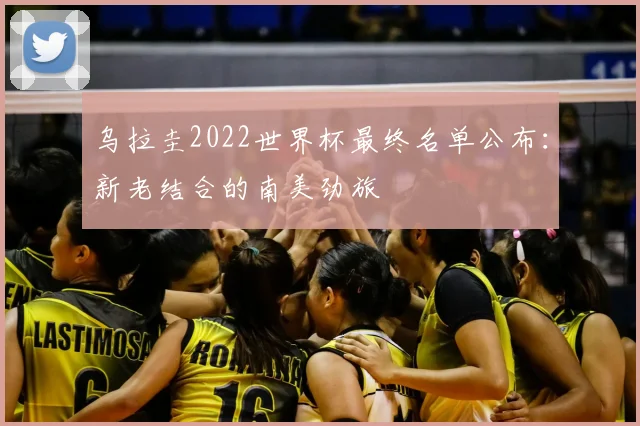 乌拉圭2022世界杯最终名单公布：新老结合的南美劲旅