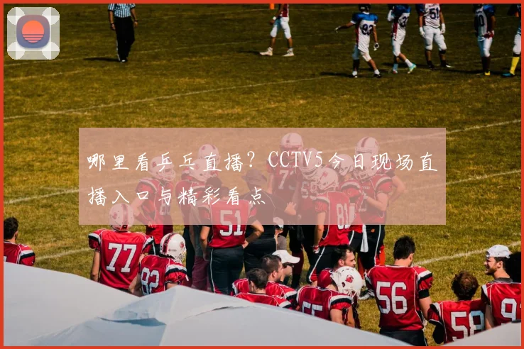 哪里看乒乓直播?CCTV5今日现场直播入口与精彩看点