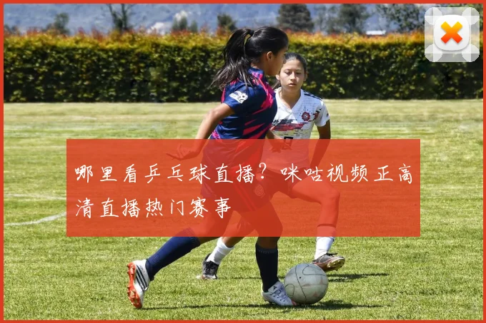 哪里看乒乓球直播？咪咕视频正高清直播热门赛事