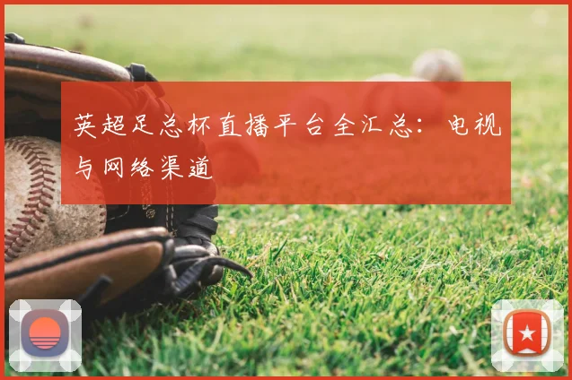 英超足总杯直播平台全汇总：电视与网络渠道