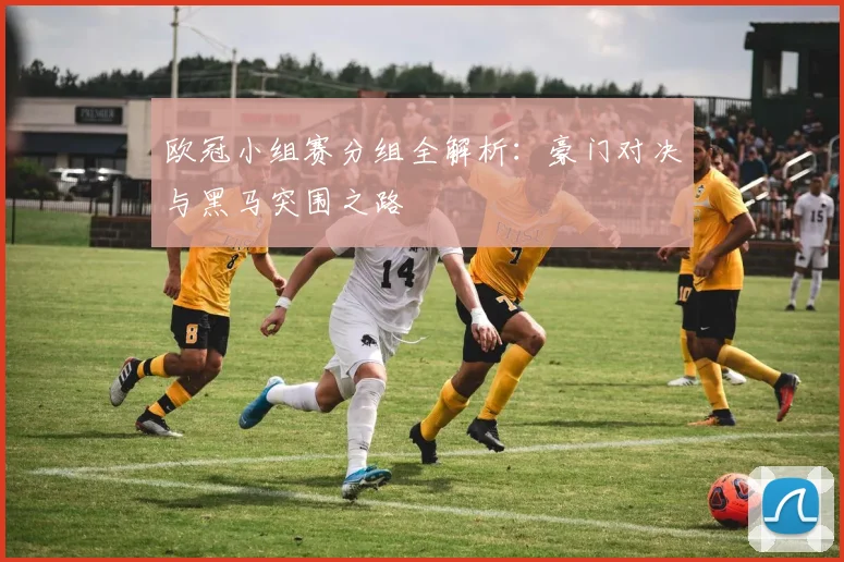 欧冠小组赛分组全解析：豪门对决与黑马突围之路